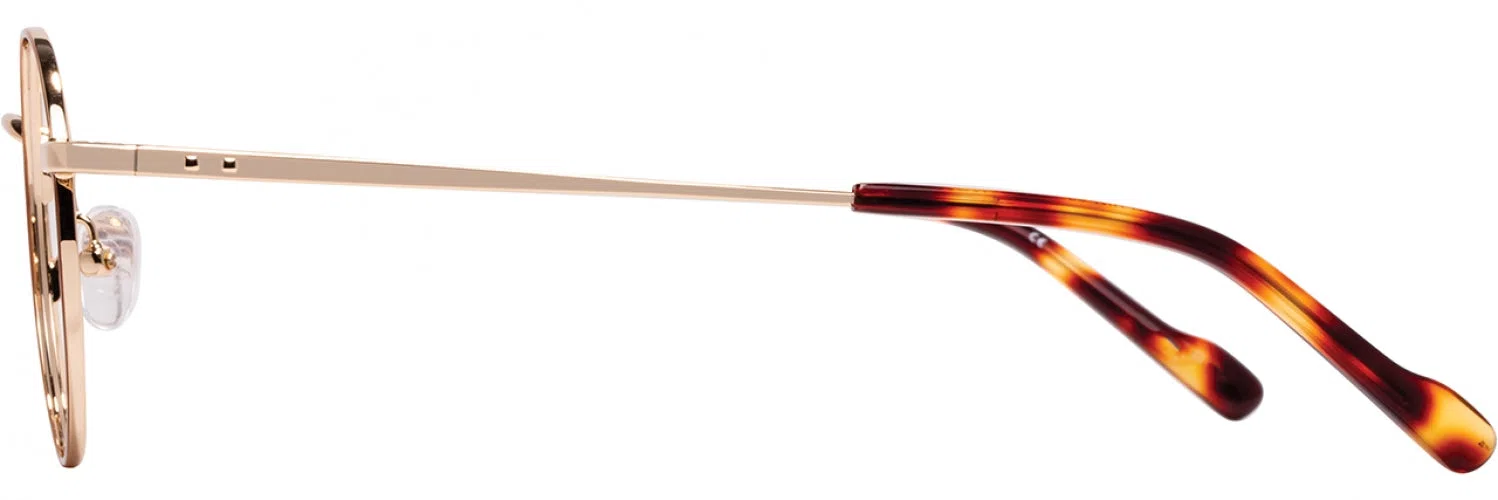 Scott Harris SHVIN63 Eyeglasses - view 8